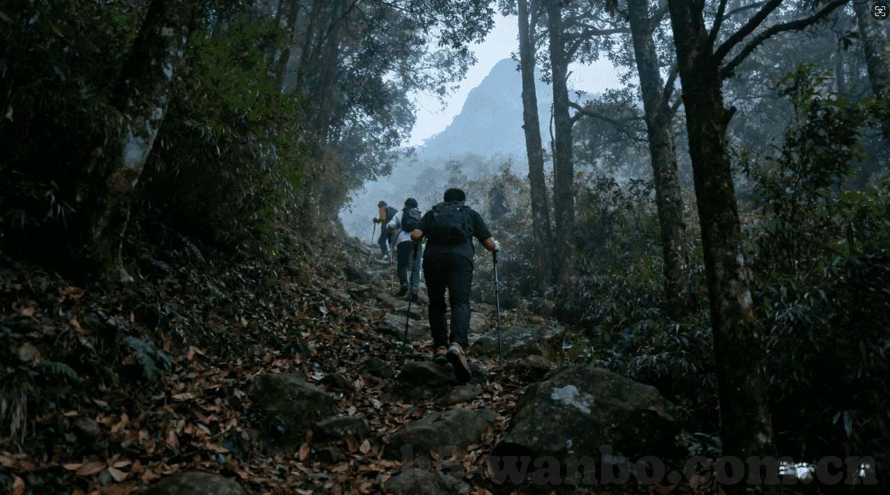 彩票大世界专业版下载安装-探索彩票新世界，专业版彩票APP下载安装全攻略